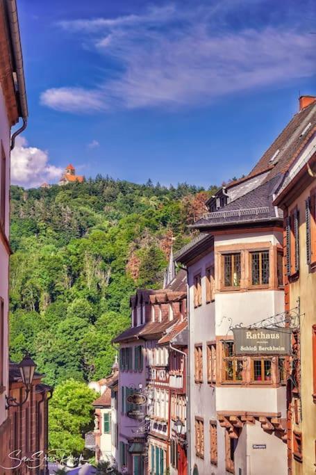 Ferienwohnung Zwischen Weinheim Und Hemsbach エクステリア 写真