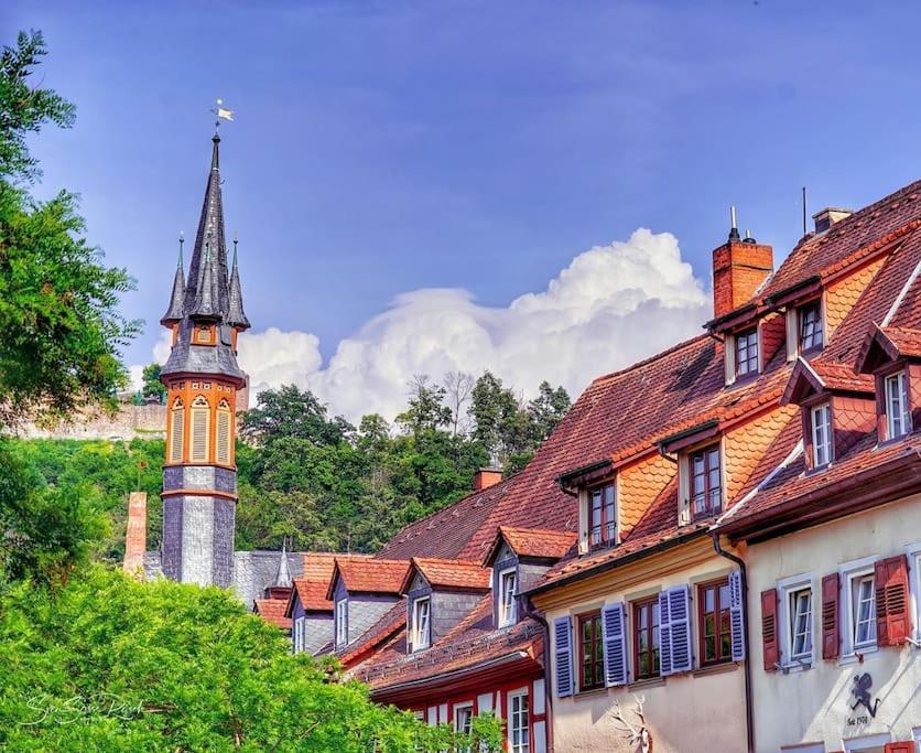 Ferienwohnung Zwischen Weinheim Und Hemsbach エクステリア 写真