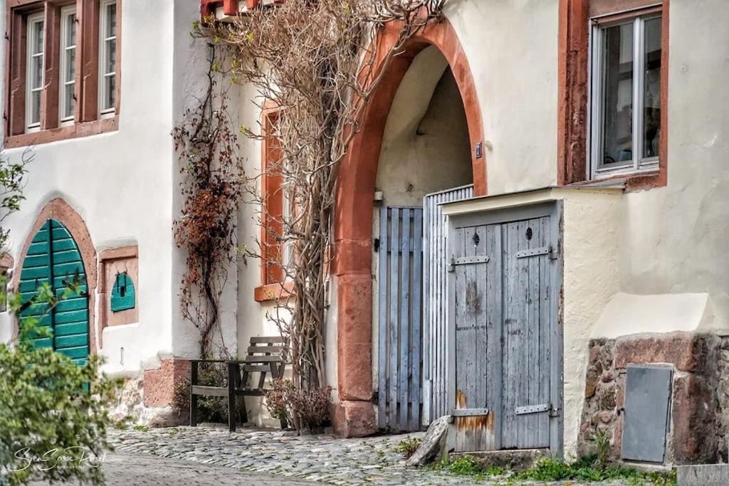 Ferienwohnung Zwischen Weinheim Und Hemsbach エクステリア 写真